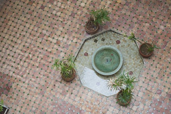 Quelle est l'importance de la photographie dans la documentation des mouvements sociaux ?